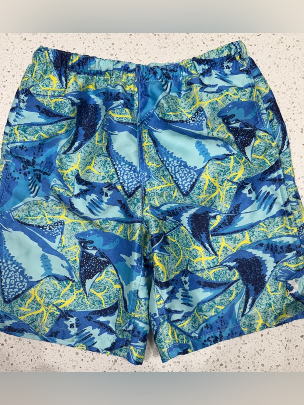 Boys’ Stingray Print Swim Trunks - Size Medium 10/12 - EUC